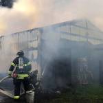 Barn fire kills seven horses|Puget Sound Fire