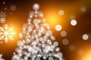 Maple Valley woman spreads joy to the elderly