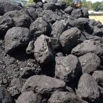 Exit poll indicates Washington voters still support climate change action