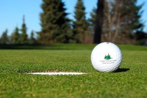 City selects new firm to manage golf course