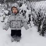 14.1 inches and counting: Record-breaking snow pounds King County