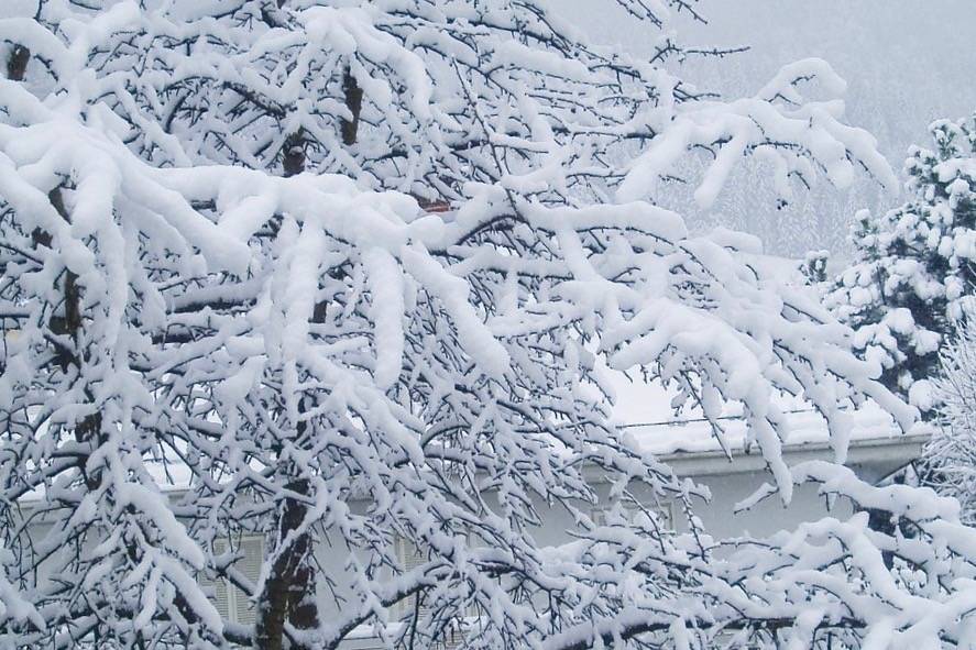 Maple Valley man dies due to weather conditions