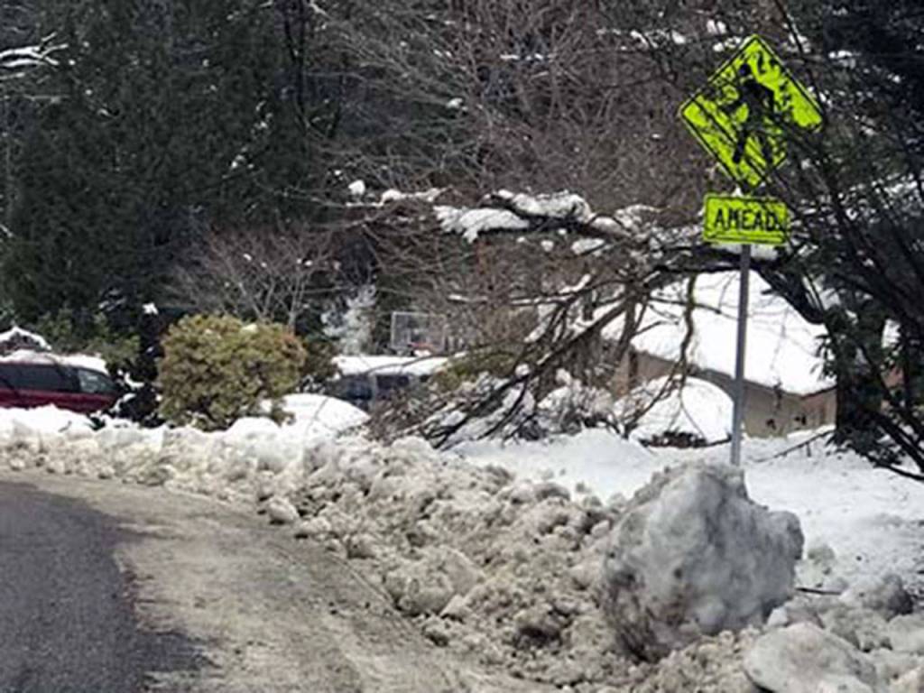 A walking route near Rock Creek Elementary School. Photo pulled from Tahoma School District website