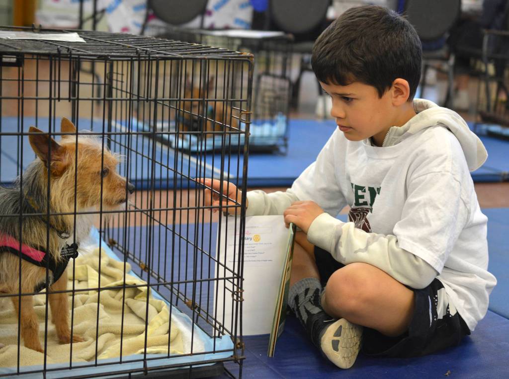 Photos by Kayse Angel