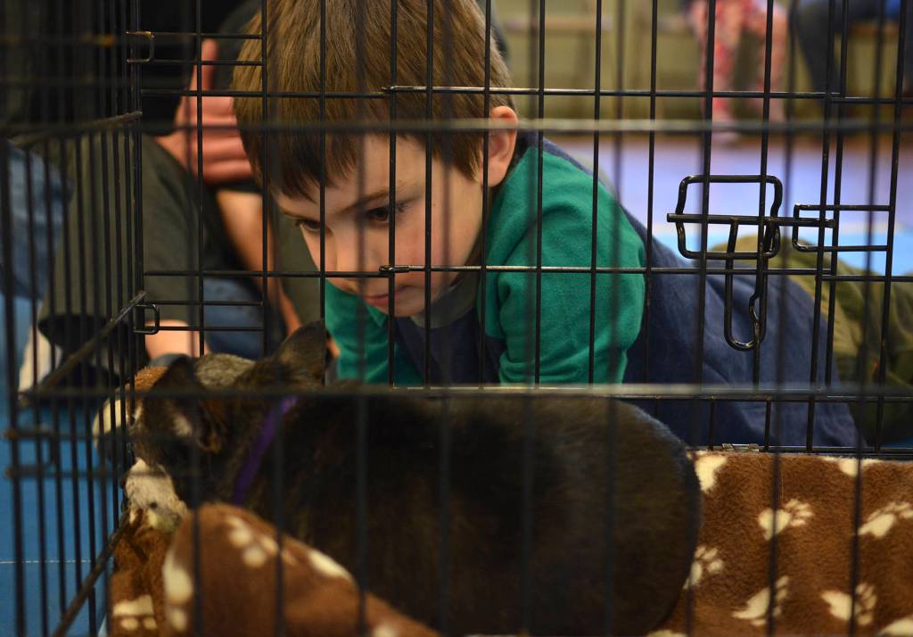 Photos by Kayse Angel