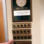 Covington receives Tree City USA Award, again