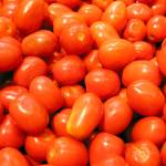 Gardeners love our veggie-friendly Western Washington climate