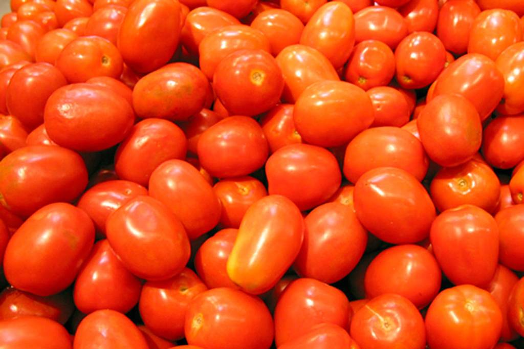 Gardeners love our veggie-friendly Western Washington climate