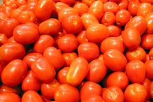 Gardeners love our veggie-friendly Western Washington climate