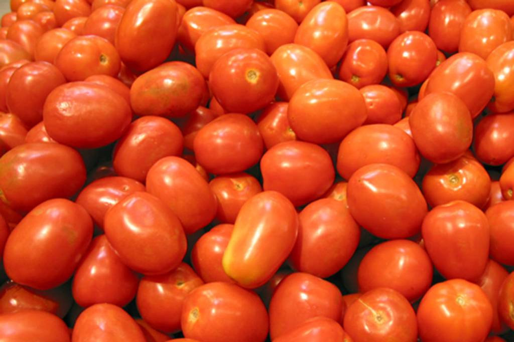 The early part of May is still too early to allow tomato plants to spend the night outdoors. Photo courtesy of School Photo Project