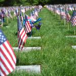 American flags line the Tahoma National Cemetery during Memorial Day on May 27.