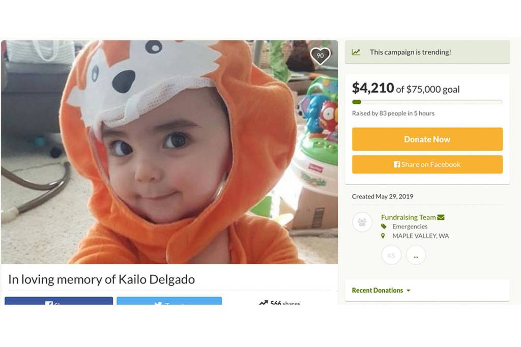 Screenshot of the GoFundMe page