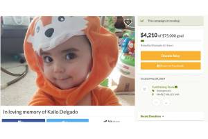 Screenshot of the GoFundMe page