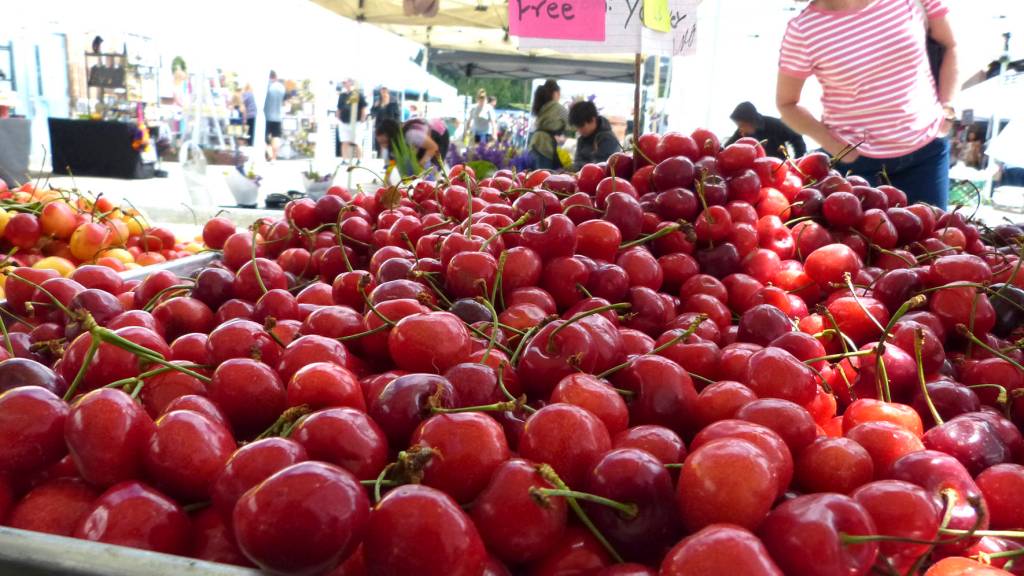 Photos by Kayse Angel                                 Cherries ready to be picked sit at a produce stand at the Maple Valley Farmers Market on its opening day on June 15.