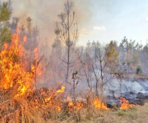 Black Diamond under burn ban