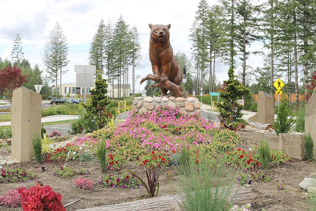 A string of stolen shrubbery leaves Maple Valley wondering