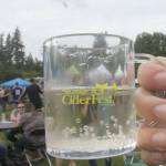 Plastic, 4 ounce mugs were given to attendants to sample multiple local ciders at the 2019 Sausage and Cider Fest.