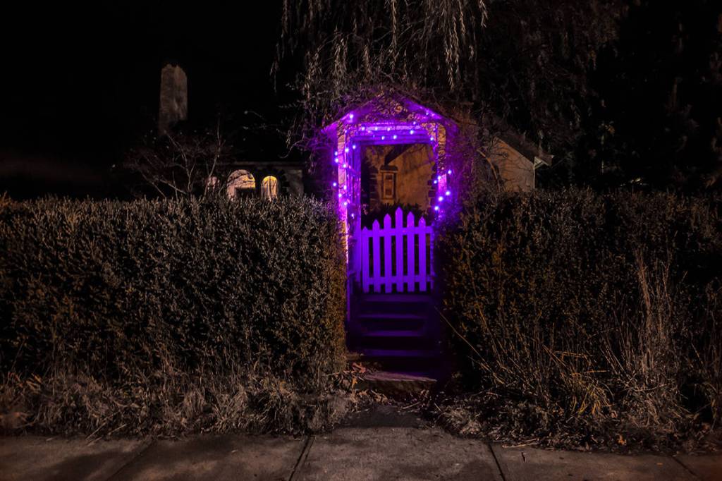 Shine a purple light in support of victims