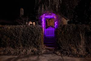 Shine a purple light in support of victims