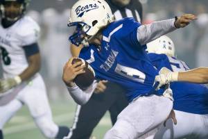 Photos courtesy of Kurt Audett.