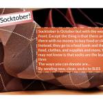 Photo courtesy of Shadow Lake Elementary School.