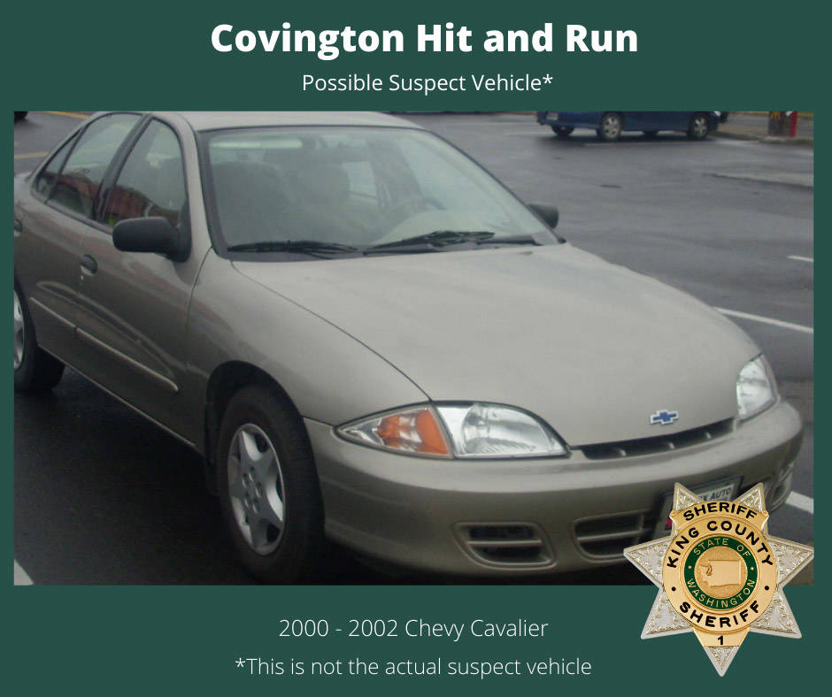 Police still searching for driver in fatal hit and run