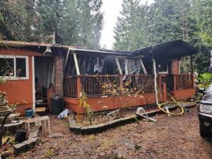 Pets die in Maple Valley fire