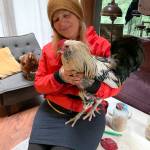Jenny Rae, Rooster Haus Rescue founder, with Reggie the rooster. Natalie DeFord/staff photo