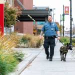 Odin and his handler, K-9 security officer Josh Wright, on foot and paw patrol. COURTESY PHOTO, MultiCare