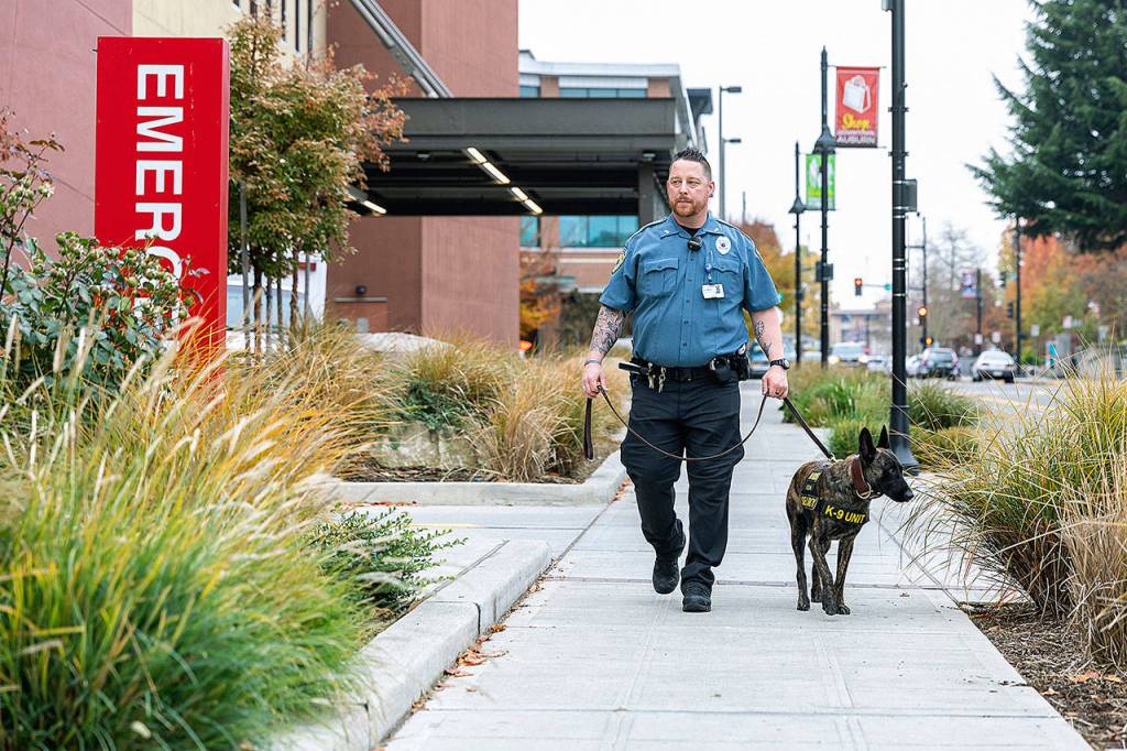 Odin and his handler, K-9 security officer Josh Wright, on foot and paw patrol. COURTESY PHOTO, MultiCare