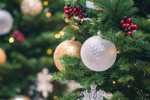 Start 2020 green by recycling holiday lights and trees