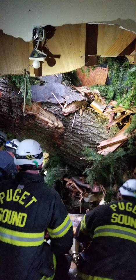 Puget Sound Fire District rescuers work to remove a tree that pinned a man in an apartment complex in unincorporated Maple Valley on Sunday, Feb. 23, 2020.                                 Photo courtesy of Puget Sound Fire.