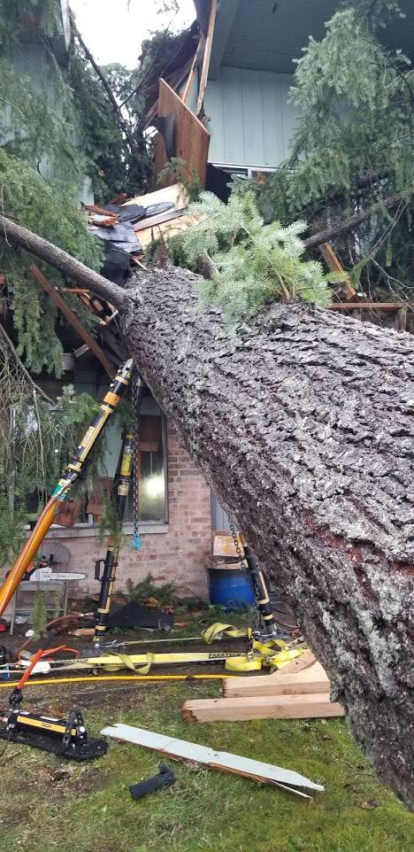 Puget Sound Fire District rescuers work to remove a tree that pinned a man in an apartment complex in unincorporated Maple Valley on Sunday, Feb. 23, 2020.                                 Photo courtesy of Puget Sound Fire.