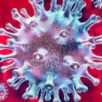 COVID: Call before seeing a doctor, especially the elderly, asthmatic