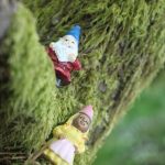 The Gnome Trail is located across from Rock Creek Elementary School, 25700 Maple Valley Black Diamond Rd SE, Maple Valley. Photos by Bailey Jo Josie/Sound Publishing