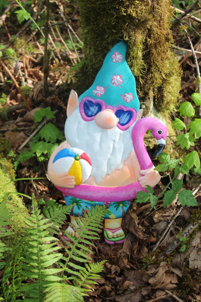 The Gnome Trail is located across from Rock Creek Elementary School, 25700 Maple Valley Black Diamond Rd SE, Maple Valley. Photos by Bailey Jo Josie/Sound Publishing