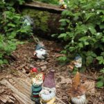 The Gnome Trail is located across from Rock Creek Elementary School, 25700 Maple Valley Black Diamond Rd SE, Maple Valley. Photos by Bailey Jo Josie/Sound Publishing