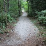 Gravel on the King County Parks trail distinguishes it from the dirt trail of the Soggy Bottom Farm trail. Photo by Bailey Jo Josie/Sound Publishing.