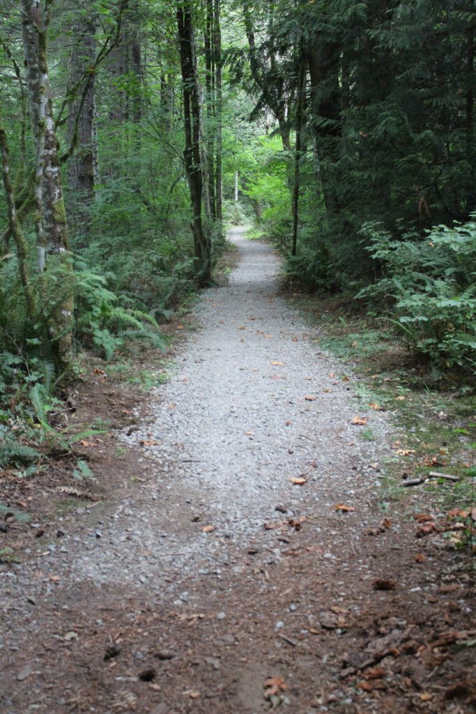 Gravel on the King County Parks trail distinguishes it from the dirt trail of the Soggy Bottom Farm trail. Photo by Bailey Jo Josie/Sound Publishing.
