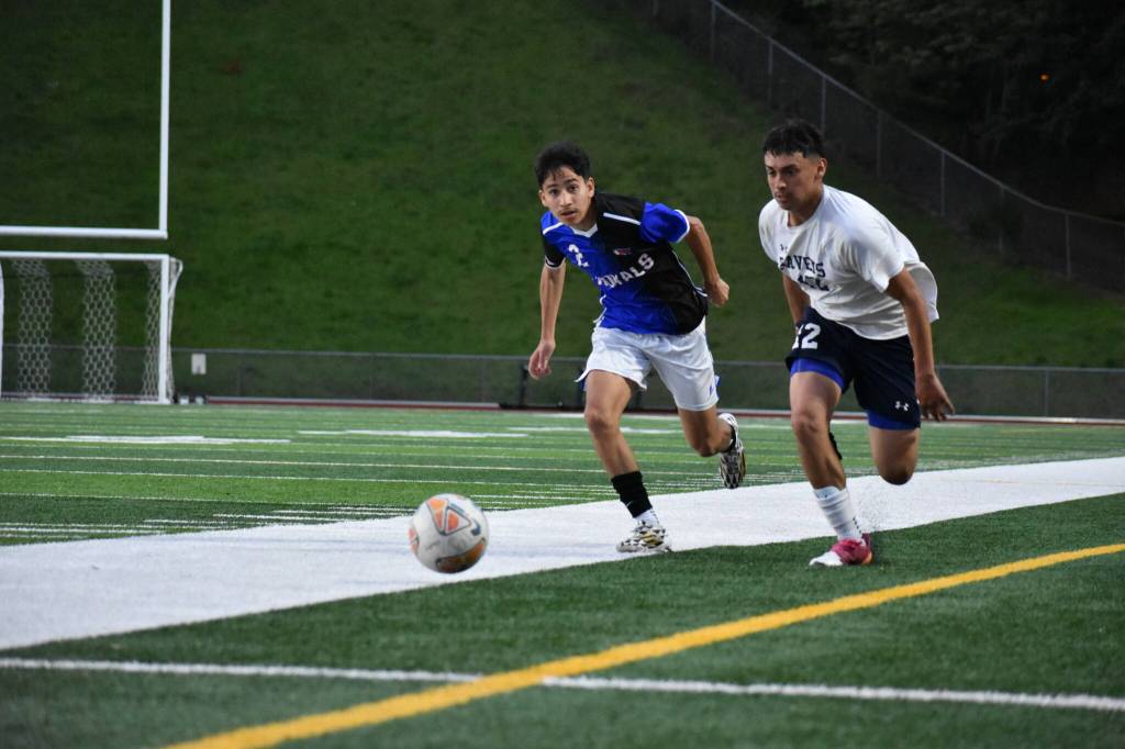 Auburn Riversides Brian Silva-Espinoza in a race to the ball with a Kent-Meridian player. Ben Ray/ The Reporter