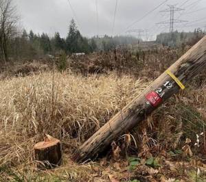 A scene of the recent vandalism to electrical infrastructure near Renton. Photo courtesy of King County Sheriffs Office