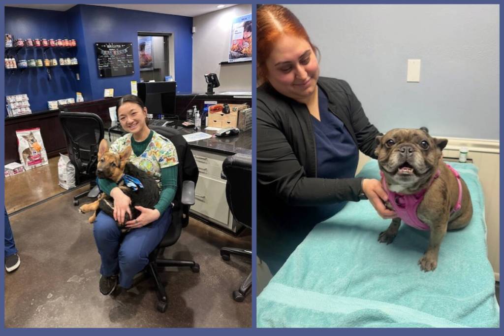 Delivering leading-edge treatment and techniques like reassuring, compassionate touch for the pets, the Covington Animal Hospitals approach significantly reshapes the pets experience. Photo courtesy of Covington Animal Hospital.