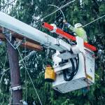 PSE crews repair wires tangled with tree branches. COURTESY PHOTO, PSE