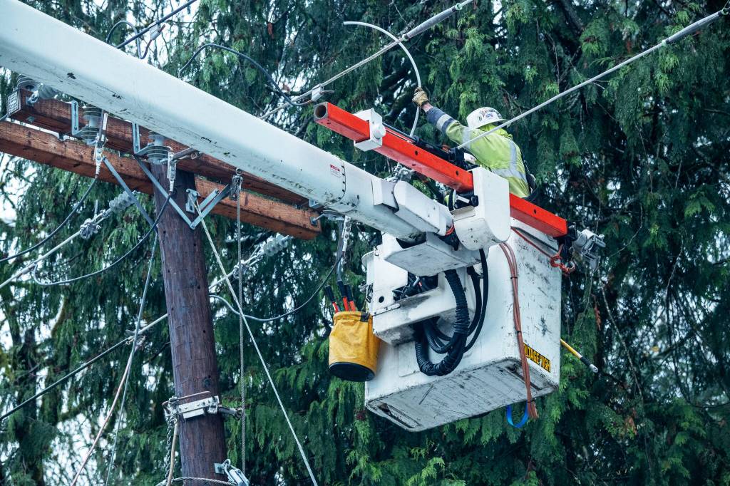 PSE crews repair wires tangled with tree branches. COURTESY PHOTO, PSE