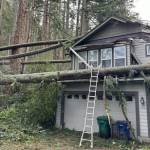 A house in Issaquah was damaged by fallen trees during Novembers bomb cyclone. (Courtesy of King County Councilmember Sarah Perrys office)