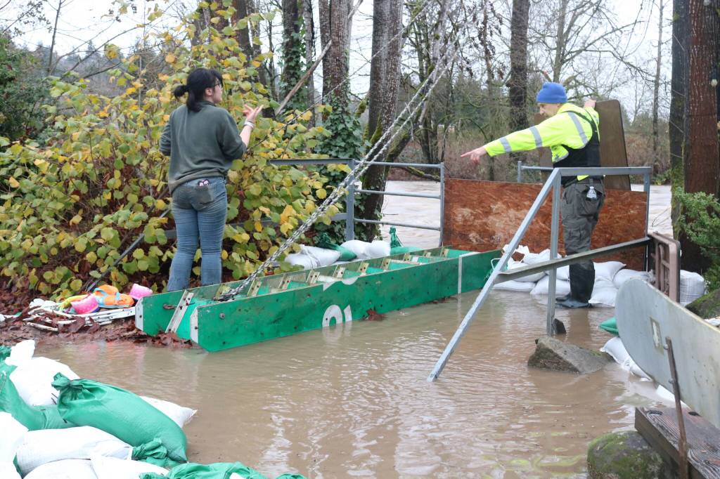 Ruby Randolph, 16, helps her dad Steve Randolph, a board member for Sustainable Renton, build up another wall of sandbags late Thursday afternoon as water seeps into the backyard of a Maplewood resident. Photo by Bailey Jo Josie/Sound Publishing.