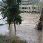 The Cedar River at the Renton Library on Thursday morning, Dec. 11. Photo by Bailey Jo Josie/Sound Publishing.