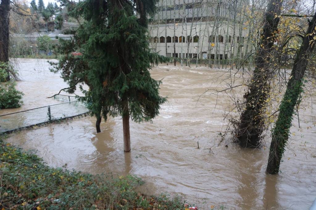 The Cedar River at the Renton Library on Thursday morning, Dec. 11. Photo by Bailey Jo Josie/Sound Publishing.