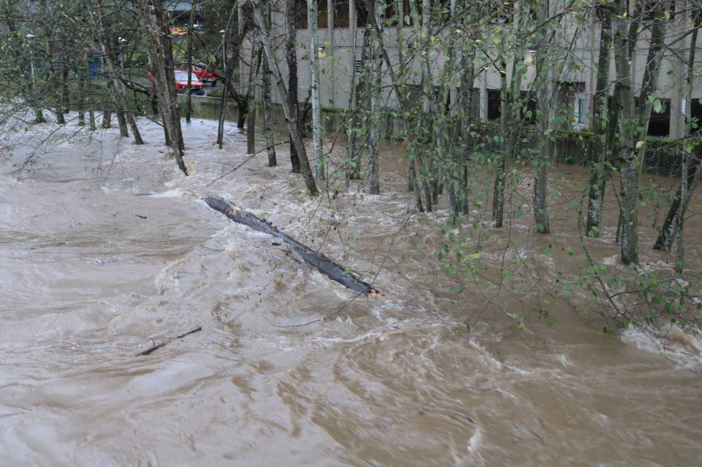 Large logs and trees were constantly rushing downriver. Photo by Bailey Jo Josie/Sound Publishing.