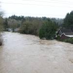 The view of the Maplewood neighborhood from the Cedar River Trail on Thursday. Neighbors worked tirelessly to keep the water from breaching the homes. Photo by Bailey Jo Josie/Sound Publishing.